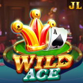 Wild Ace on 222jl